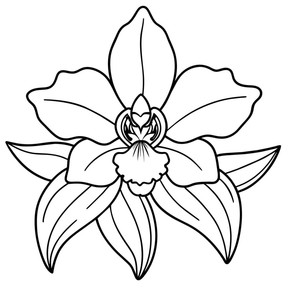 Orchid flower outline illustration coloring book page design, Orchid flower Bouquet black and white line art drawing coloring book pages for children and adults vector