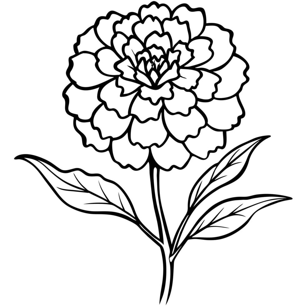 Marigold Flower Bouquet outline illustration coloring book page design, Marigold Flower Bouquet black and white line art drawing coloring book pages for children and adults vector