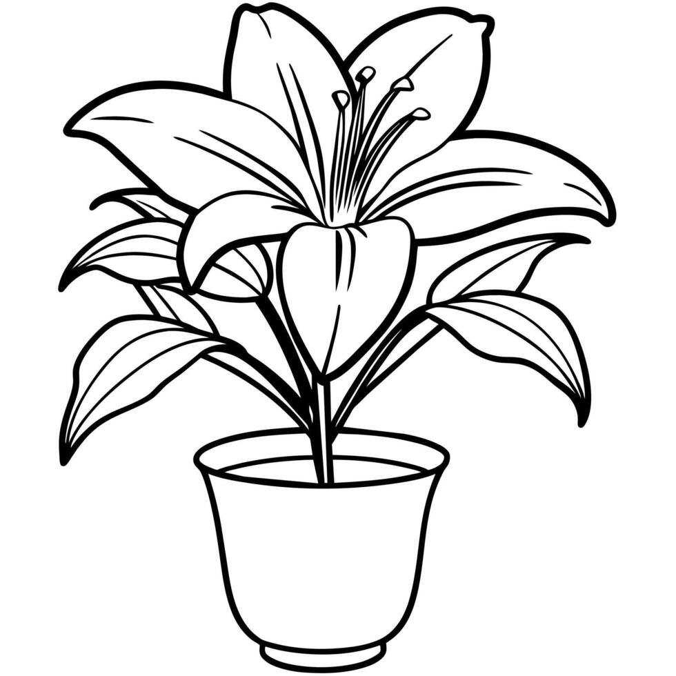 Lily Flower outline illustration coloring book page design, Lily Flower black and white line art drawing coloring book pages for children and adults vector