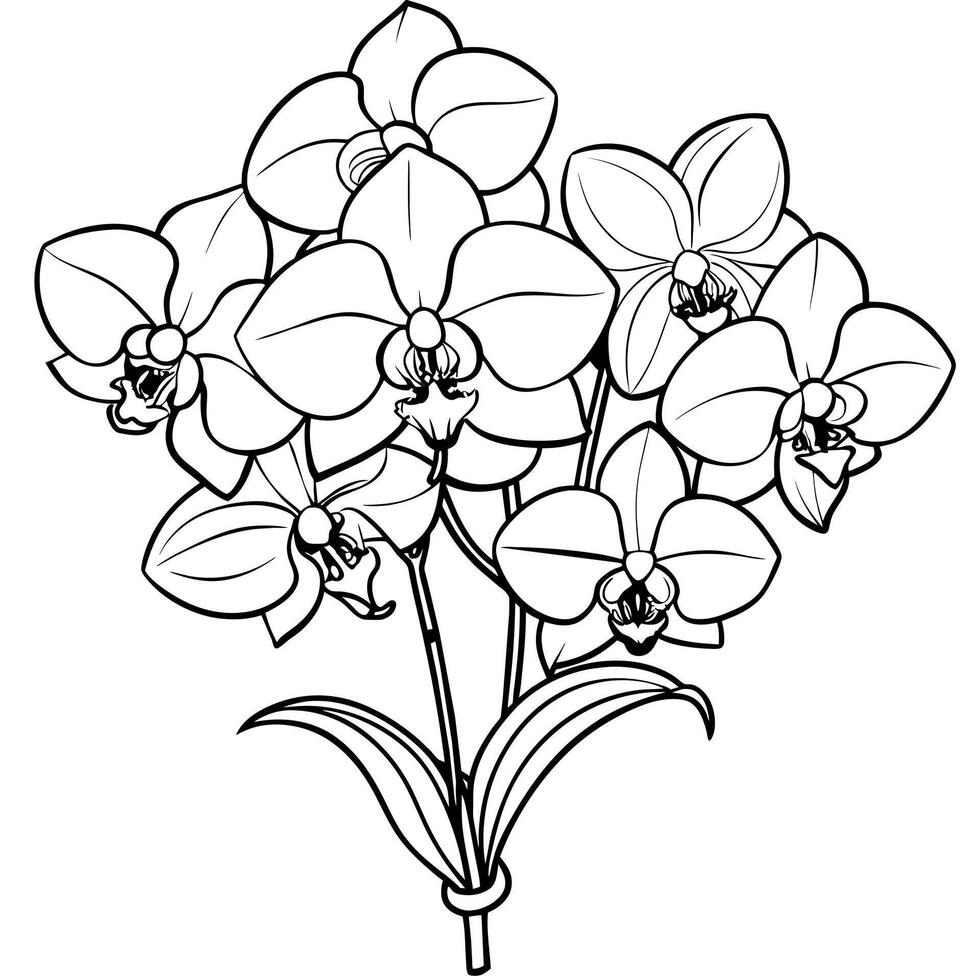 Orchid flower outline illustration coloring book page design, Orchid flower Bouquet black and white line art drawing coloring book pages for children and adults vector