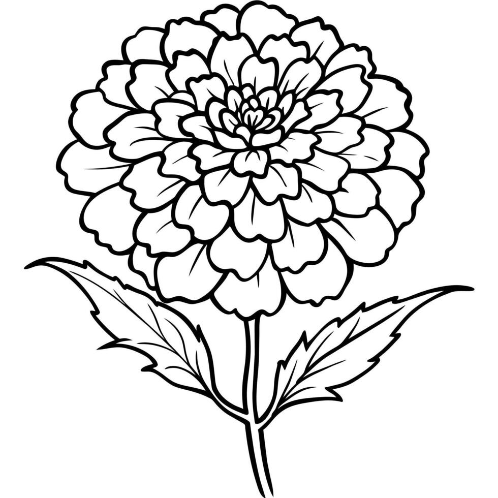 Marigold Flower Bouquet outline illustration coloring book page design, Marigold Flower Bouquet black and white line art drawing coloring book pages for children and adults vector