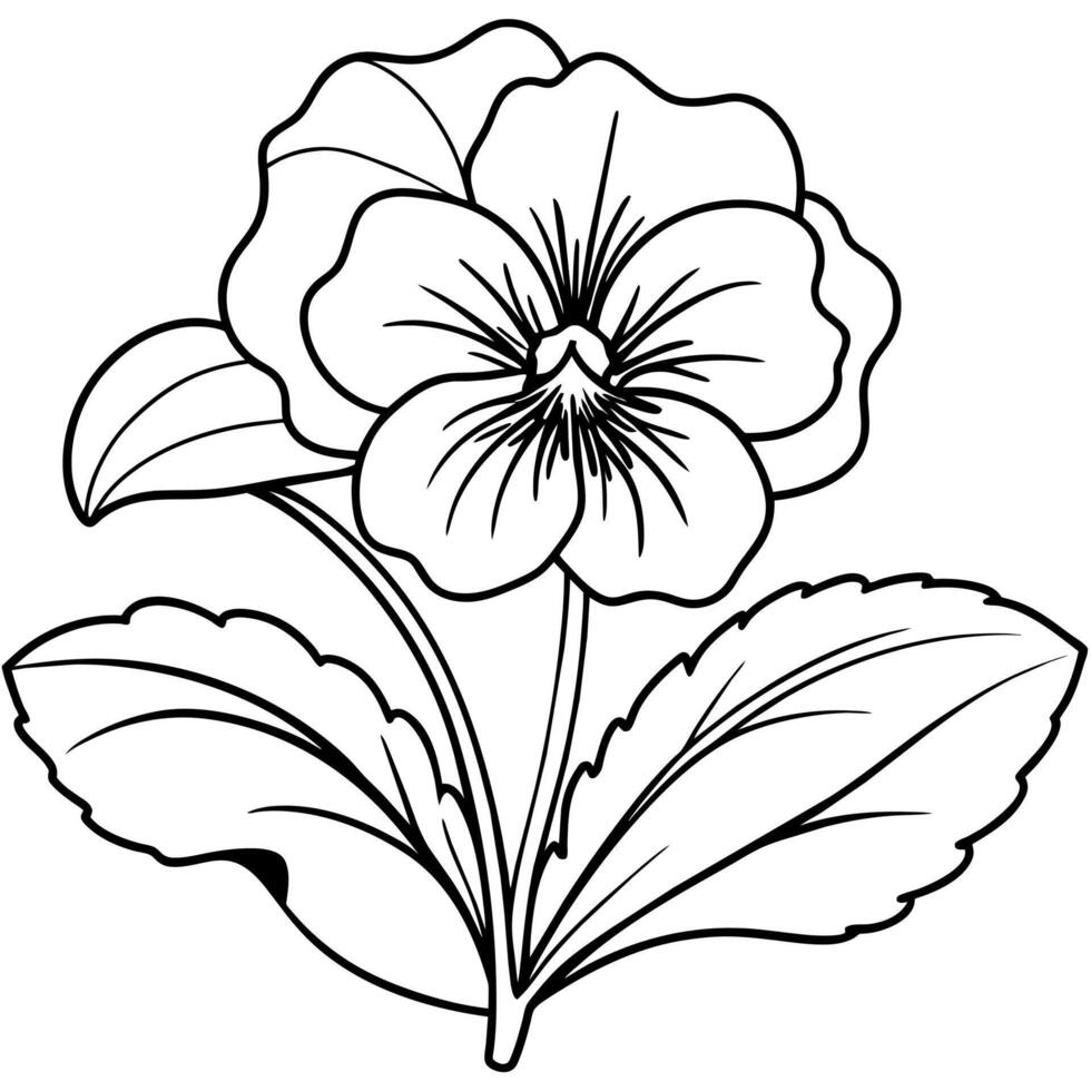 Pansy flower outline illustration coloring book page design, Pansy flower Bouquet black and white line art drawing coloring book pages for children and adults vector