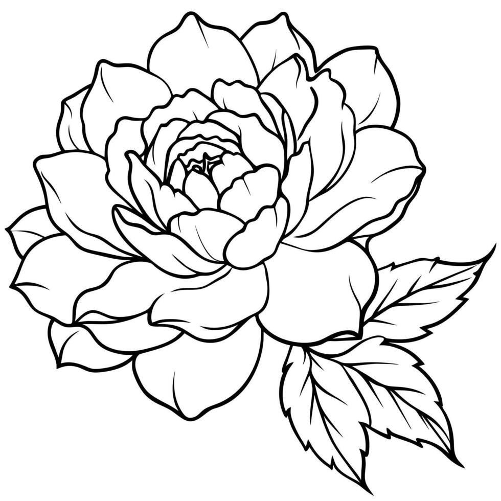 Peony Flower outline illustration coloring book page design, Peony Flower black and white line art drawing coloring book pages for children and adults vector