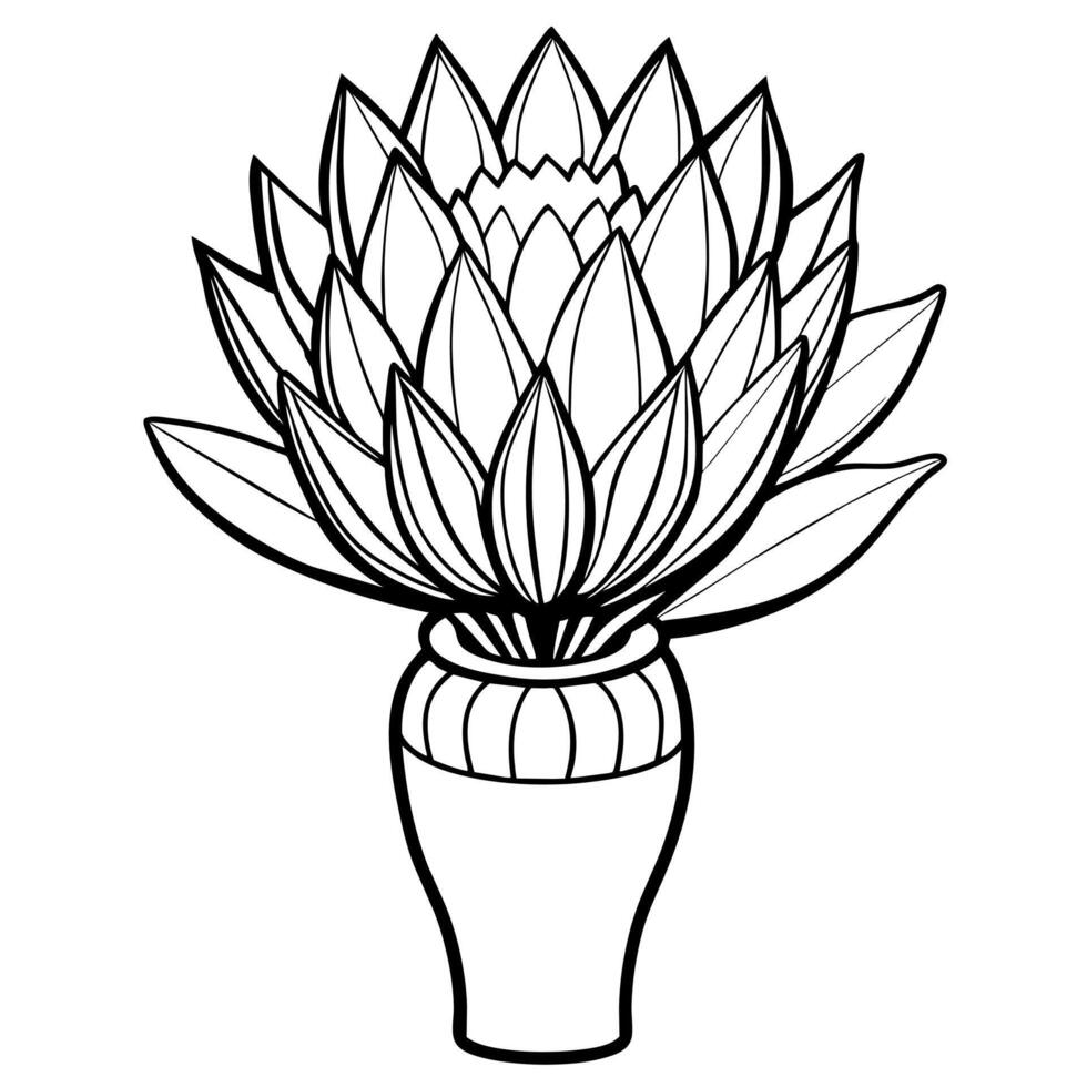 Protea flower outline illustration coloring book page design, Protea flower black and white line art drawing coloring book pages for children and adults vector