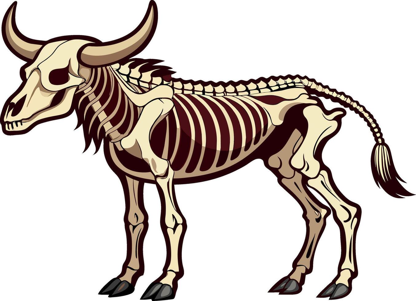 Detailed graphics of a bovine skeleton on a dark background- vector