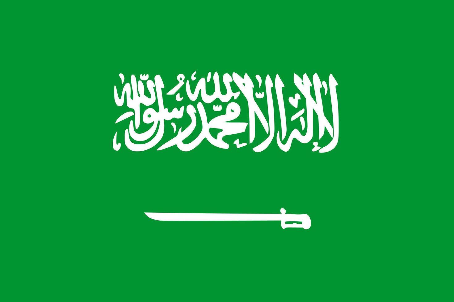 The national flag of saudi arabia vector