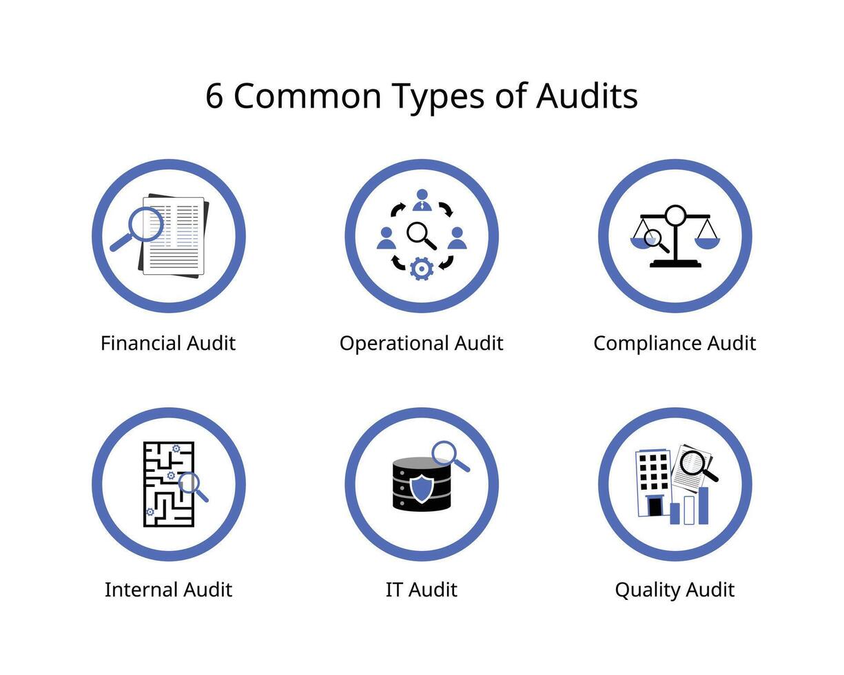6 common types of audits, financial audits, operational, compliance, internal, IT , quality audits vector