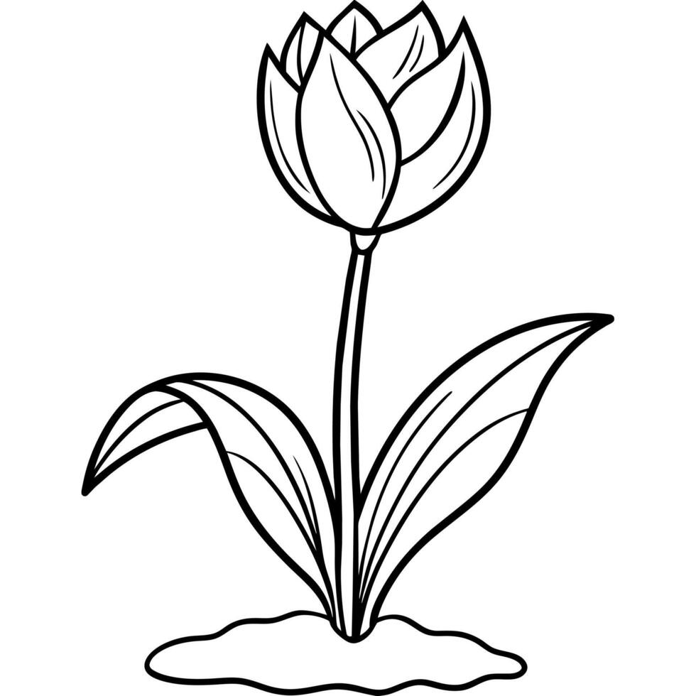 Tulip Flower outline illustration coloring book page design, Tulip Flower black and white line art drawing coloring book pages for children and adults vector