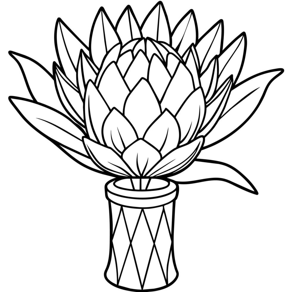 Protea flower outline illustration coloring book page design, Protea flower black and white line art drawing coloring book pages for children and adults vector