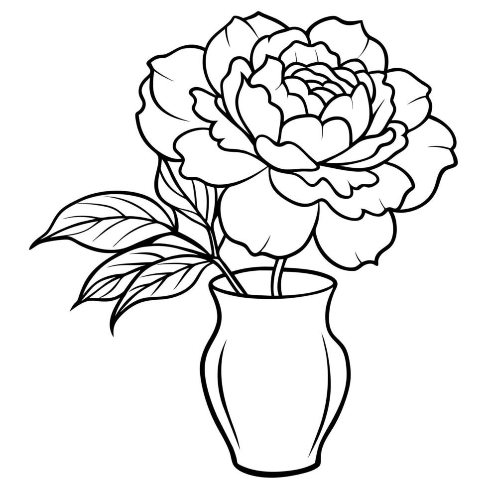 Peony Flower outline illustration coloring book page design, Peony Flower black and white line art drawing coloring book pages for children and adults vector