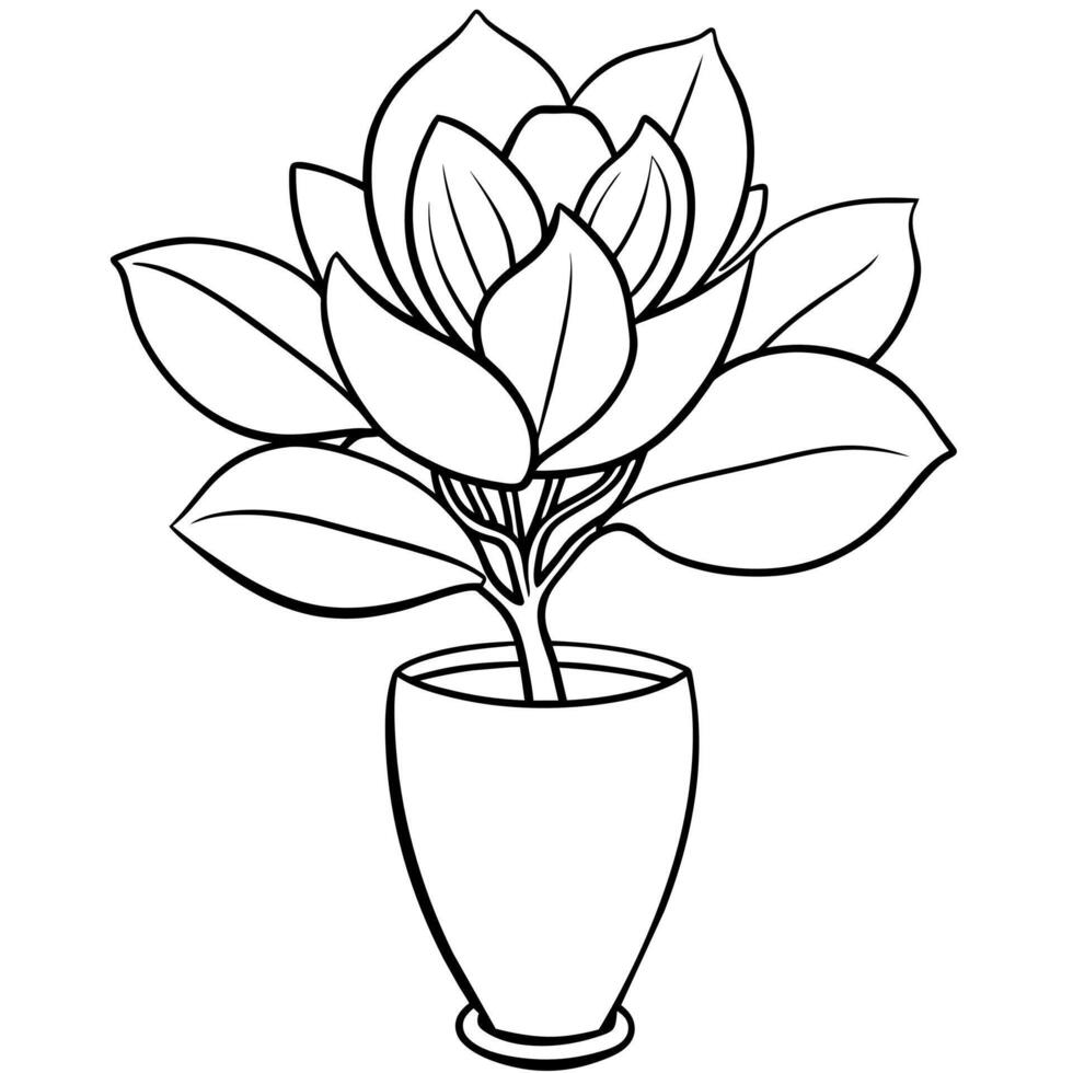 Magnolia Flower outline illustration coloring book page design, Magnolia Flower black and white line art drawing coloring book pages for children and adults vector