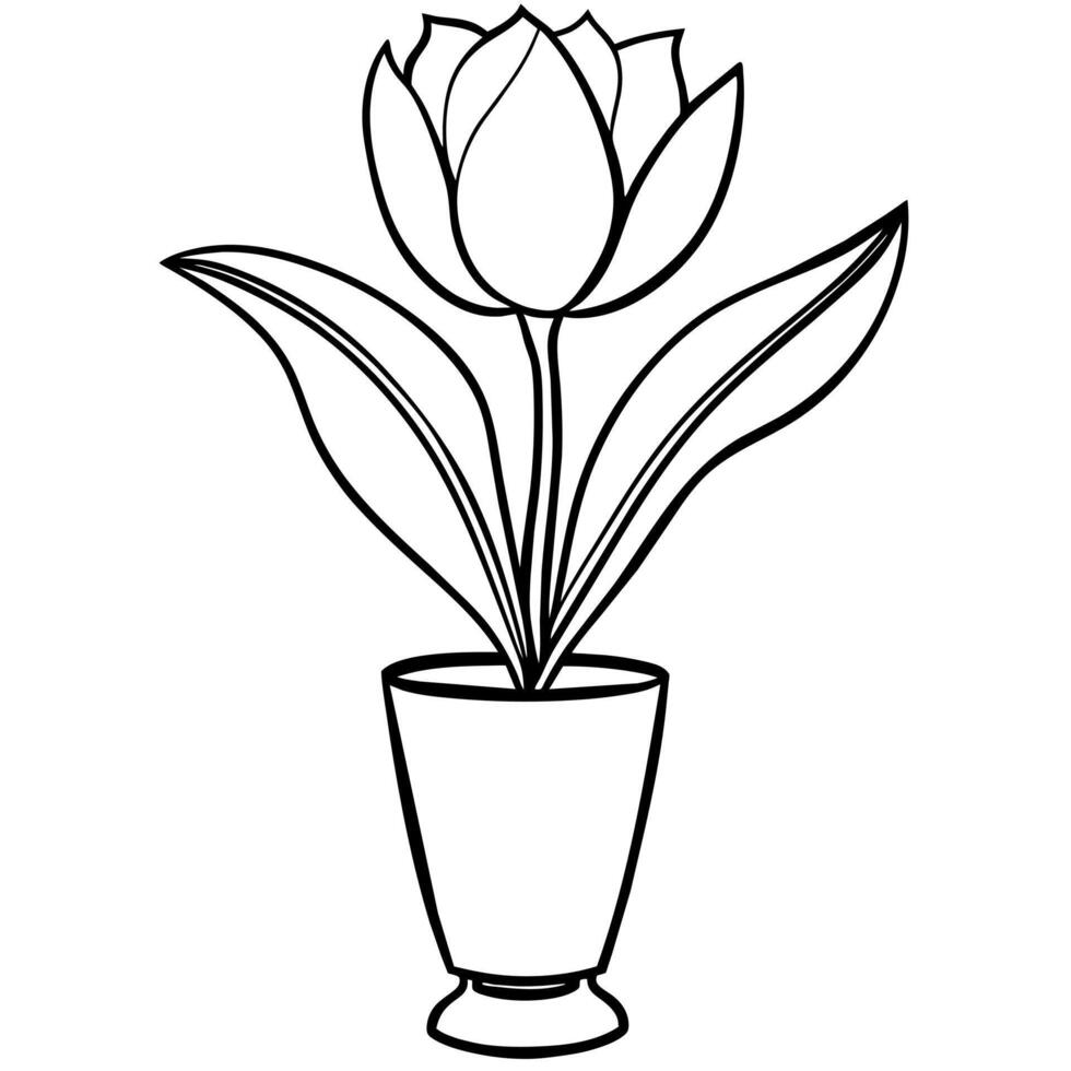 Tulip Flower outline illustration coloring book page design, Tulip Flower black and white line art drawing coloring book pages for children and adults vector