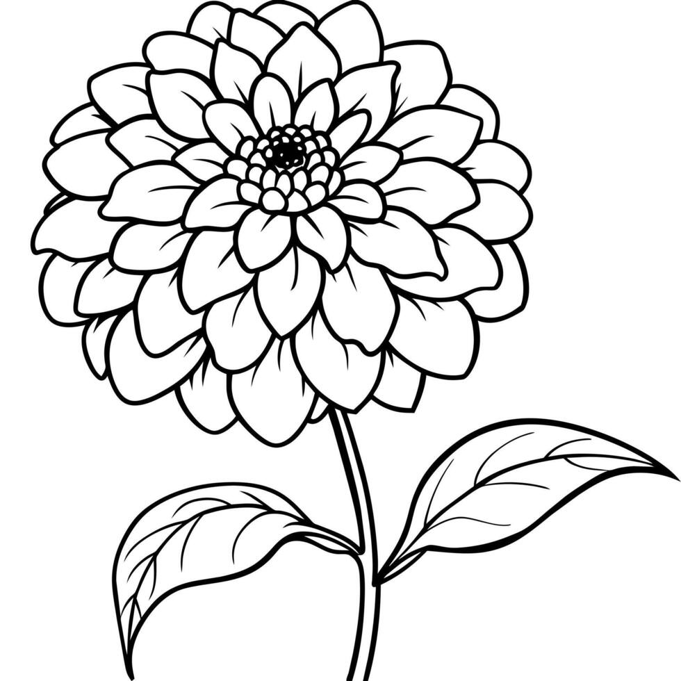 zinnia flor contorno ilustración colorante libro página diseño, zinnia flor negro y blanco línea Arte dibujo colorante libro paginas para niños y adultos vector