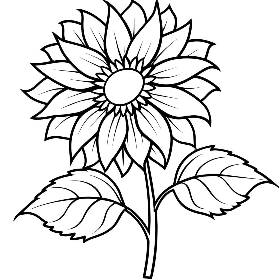 Sunflower flower outline illustration coloring book page design, Sunflower flower black and white line art drawing coloring book pages for children and adults vector