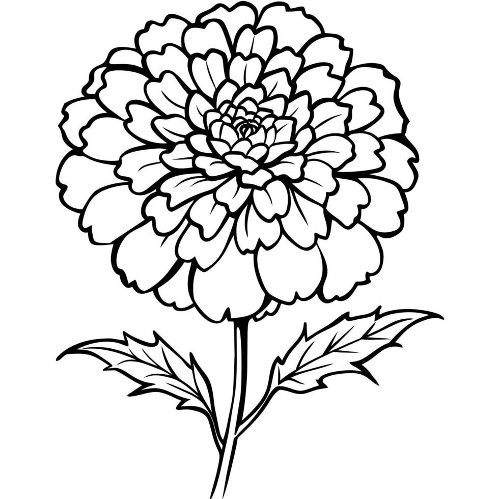 Marigold Flower Bouquet outline illustration coloring book page design, Marigold Flower Bouquet black and white line art drawing coloring book pages for children and adults vector