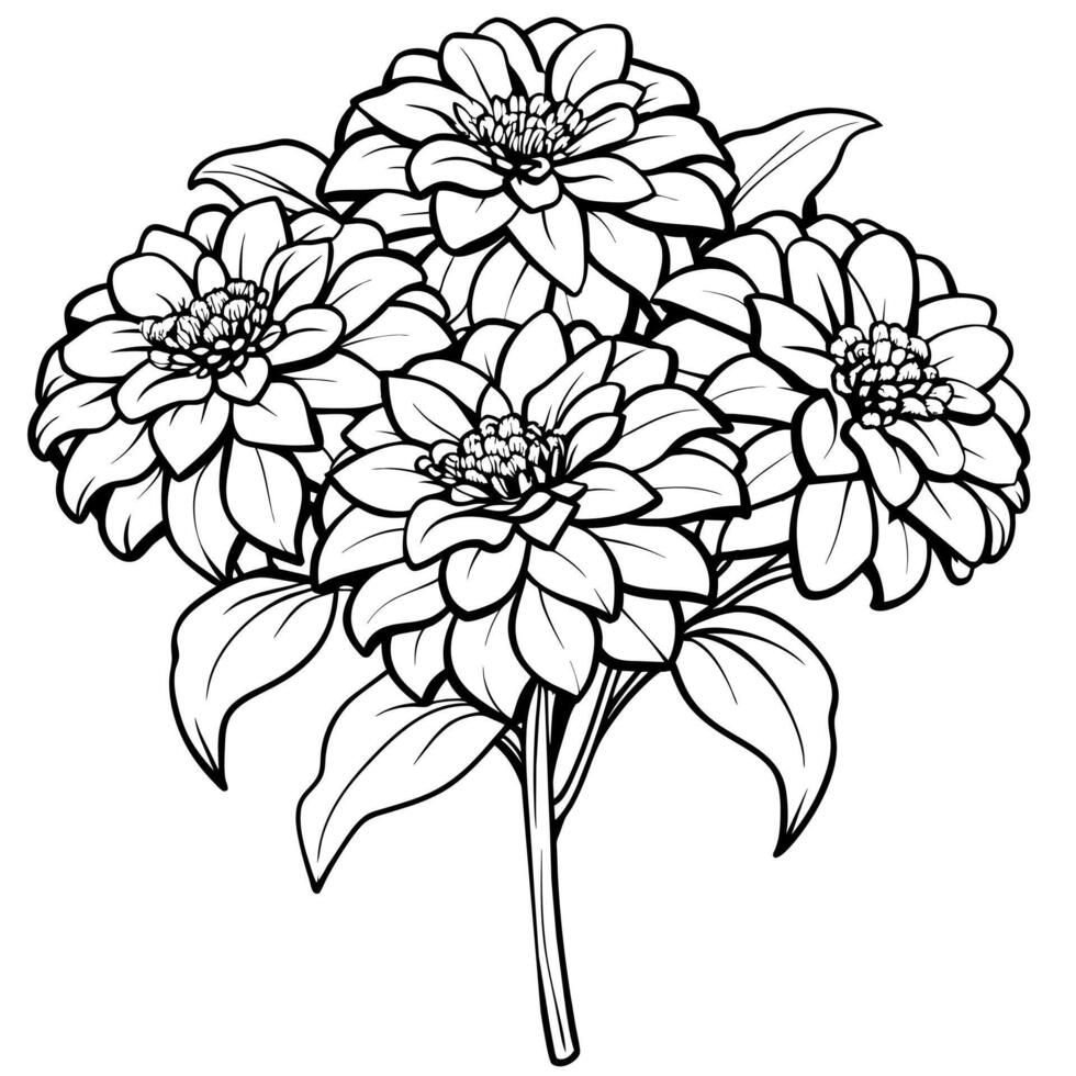 Zinnia Flower outline illustration coloring book page design, Zinnia Flower black and white line art drawing coloring book pages for children and adults vector