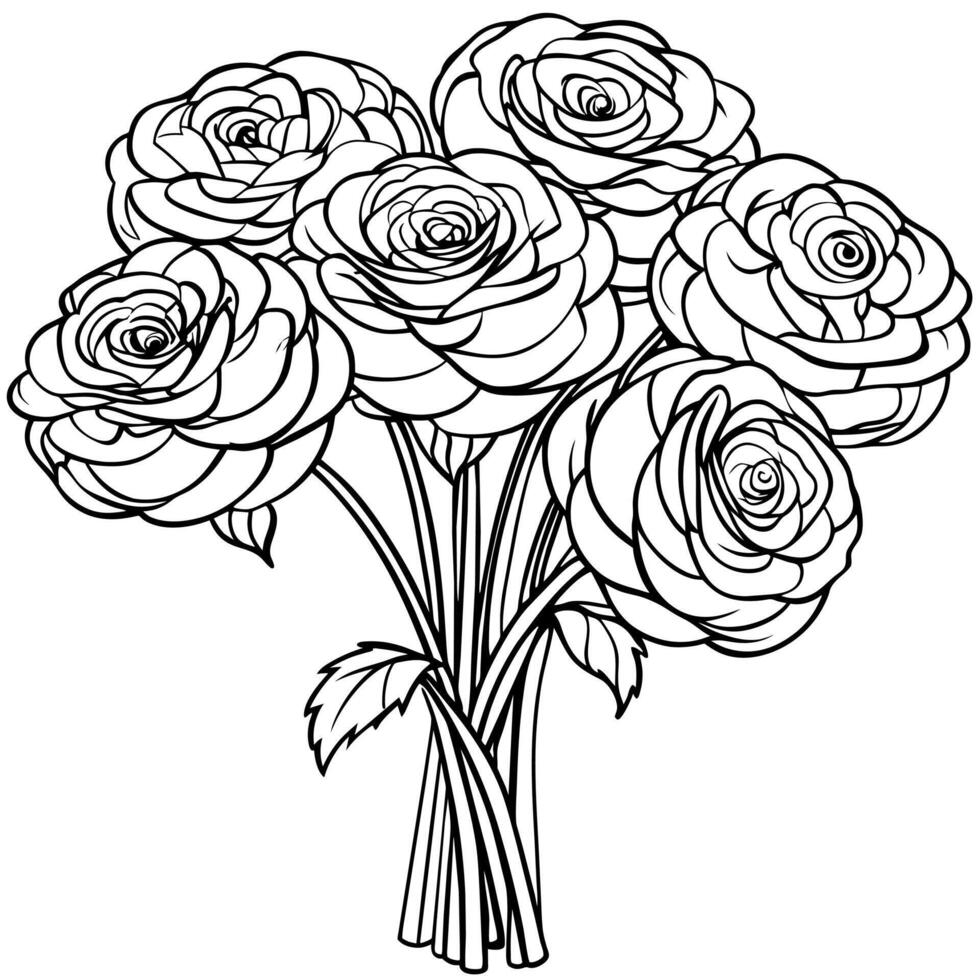 Ranunculus flower outline illustration coloring book page design, Ranunculus flower black and white line art drawing coloring book pages for children and adults vector