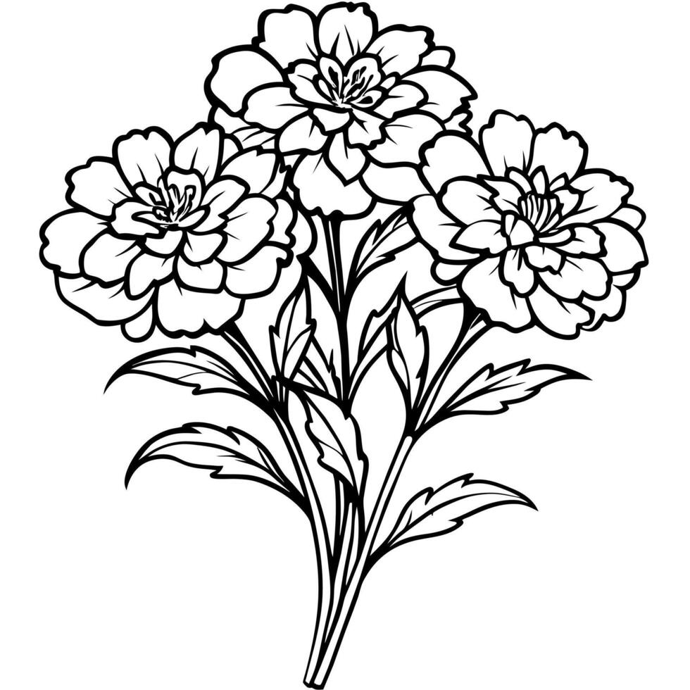 Marigold Flower Bouquet outline illustration coloring book page design, Marigold Flower Bouquet black and white line art drawing coloring book pages for children and adults vector