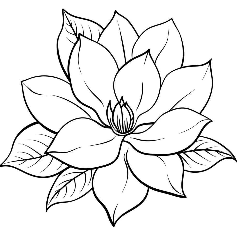 magnolia flor contorno ilustración colorante libro página diseño, magnolia flor negro y blanco línea Arte dibujo colorante libro paginas para niños y adultos vector
