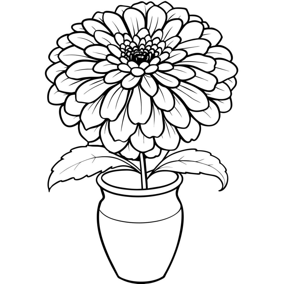 Zinnia Flower outline illustration coloring book page design, Zinnia Flower black and white line art drawing coloring book pages for children and adults vector