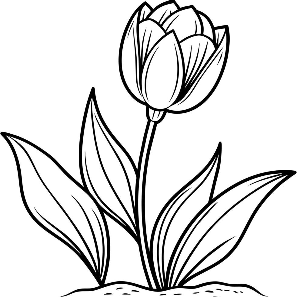 tulipán flor contorno ilustración colorante libro página diseño, tulipán flor negro y blanco línea Arte dibujo colorante libro paginas para niños y adultos vector