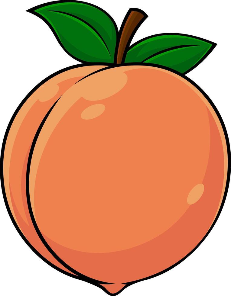 Cartoon Peach Fruit With Green Leaves vector