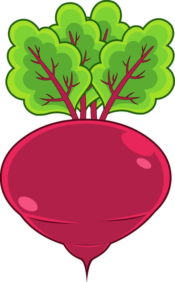 Cartoon Fresh Fresh Red Beet With Leaf vector