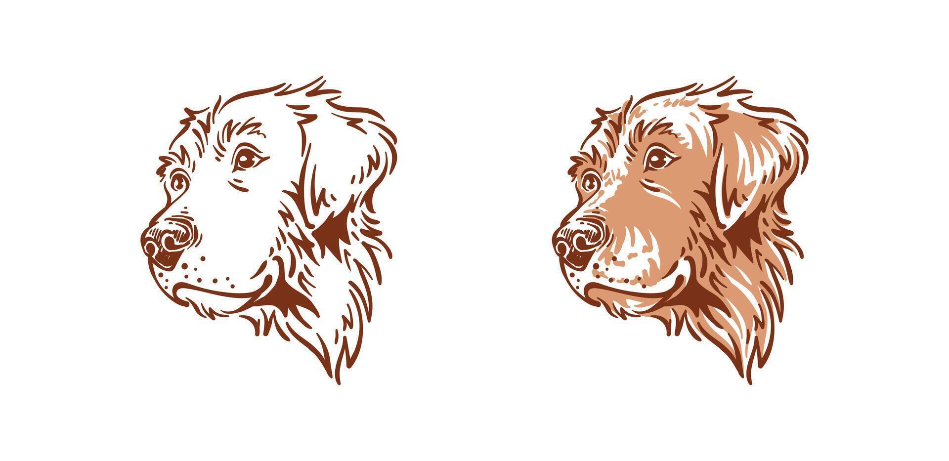 perro cabeza ilustración dibujo dorado perdiguero mascota tipo lado ver vector