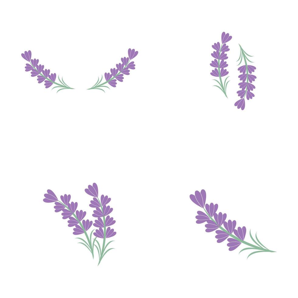 set Lavender Logo Template vector