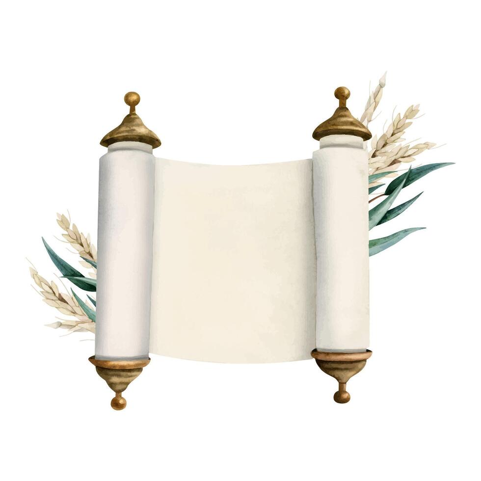 Watercolor opened Torah scroll of Jewish Bible megilat Esther, Haggadah illustration with ears wheat eucalyptus leaves vector