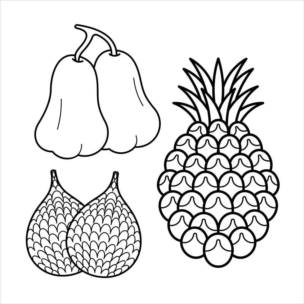 Cartoon Exotic Tropical Fruit Line Art vector
