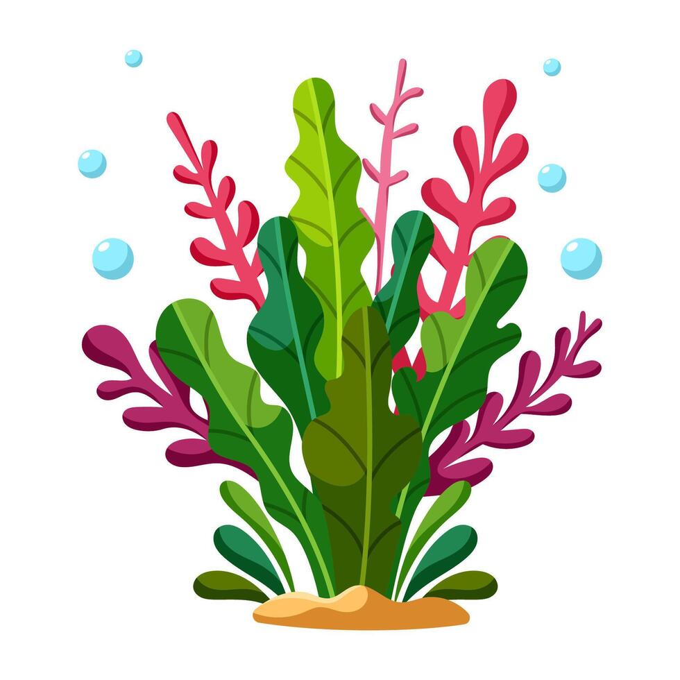 Colorful sea plants vector