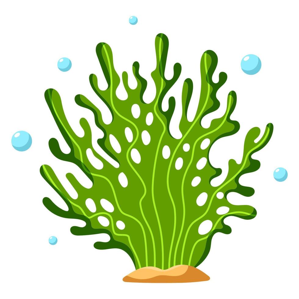 Green oceanic plant vector