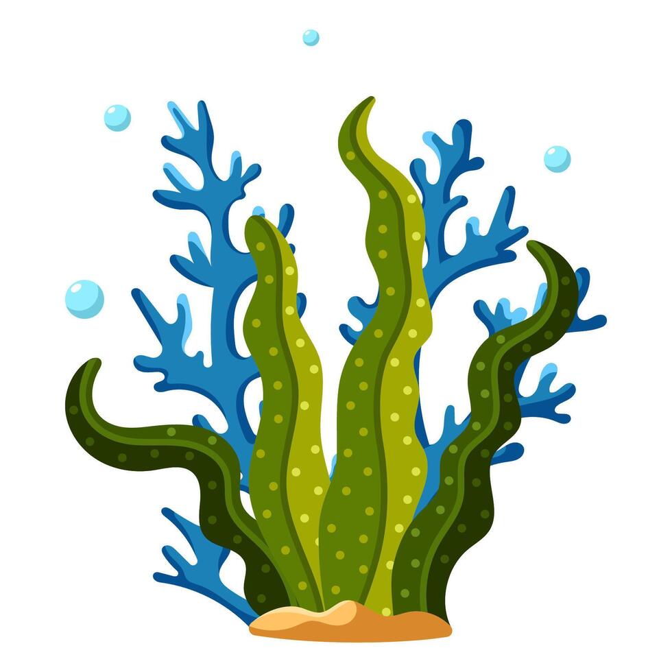 Blue and green sea plants vector