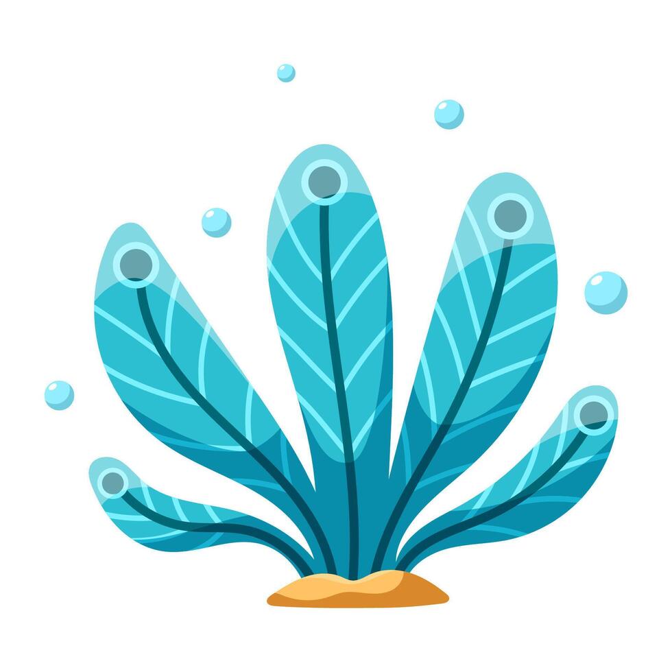 Blue ocean plant in the form of feathers vector