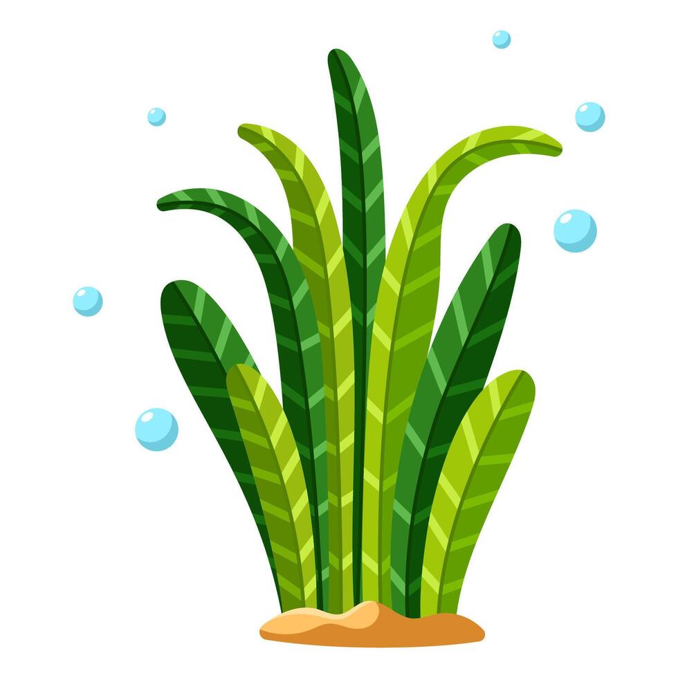 Green algae with long leaves vector