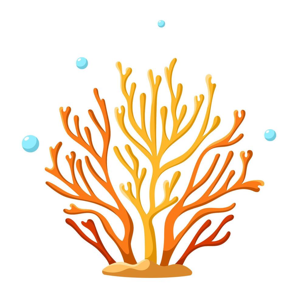 Orange coral algae vector