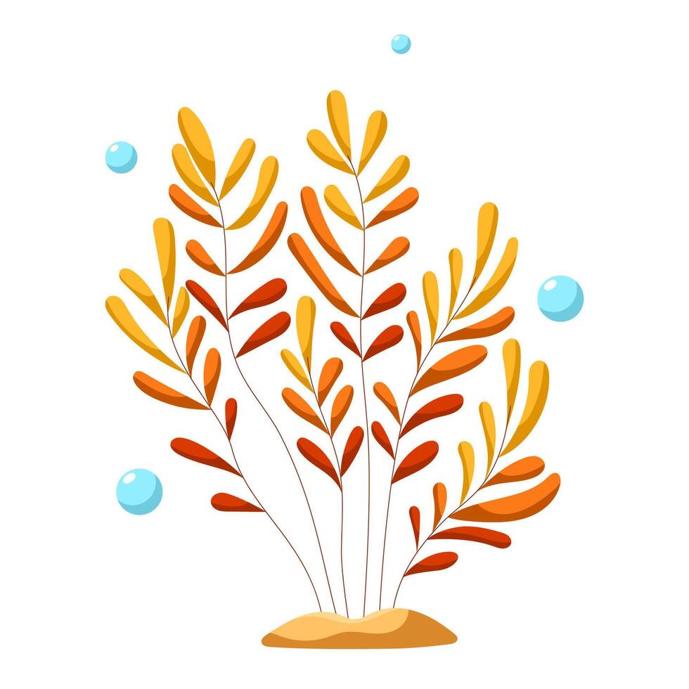 Orange algae with small leaves vector