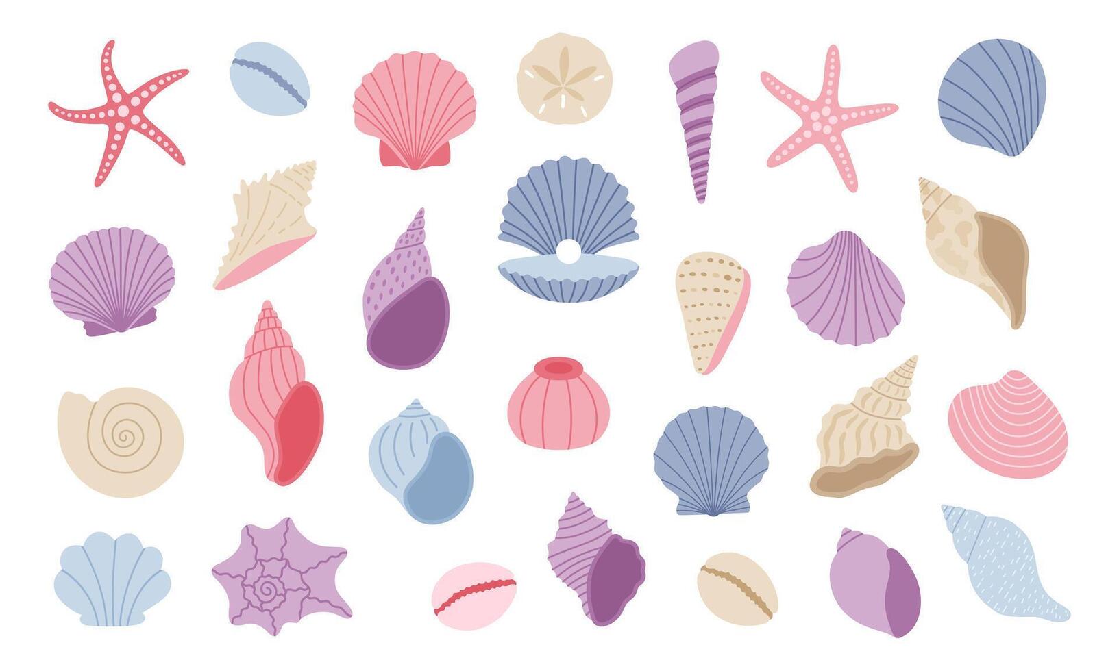 Cute seashell, starfish, clam. Sea shell set. Hand drawn illustration isolated on white background vector