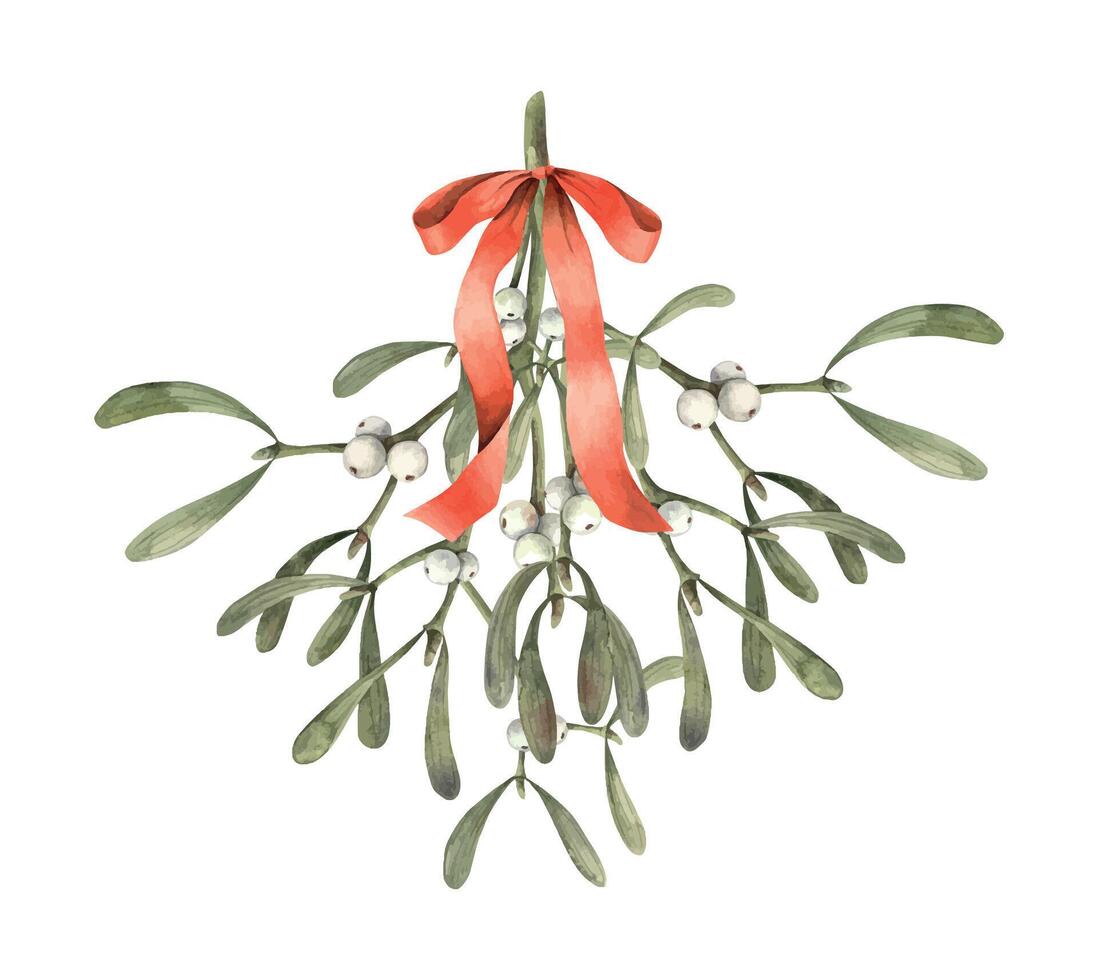 Bouquet of mistletoe with white berries and a red bow. Christmas watercolor illustration on isolated background. Illustration for cards, banners, wrapping paper, decor, design for the new year 2025. vector