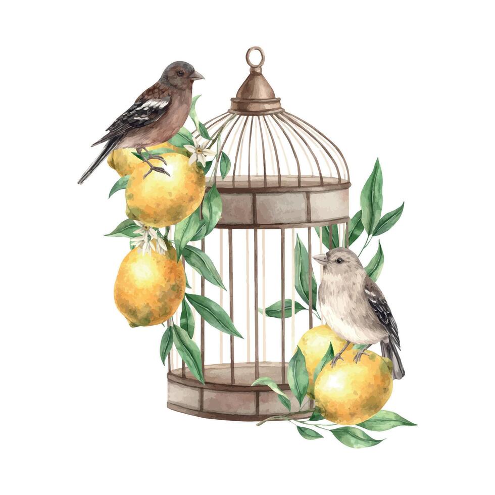 rama con limones y hojas, realista aves y cobre Clásico jaula. aislado acuarela ilustración en Clásico estilo. composición para interior, tarjetas, Boda diseño, invitaciones, textiles. vector