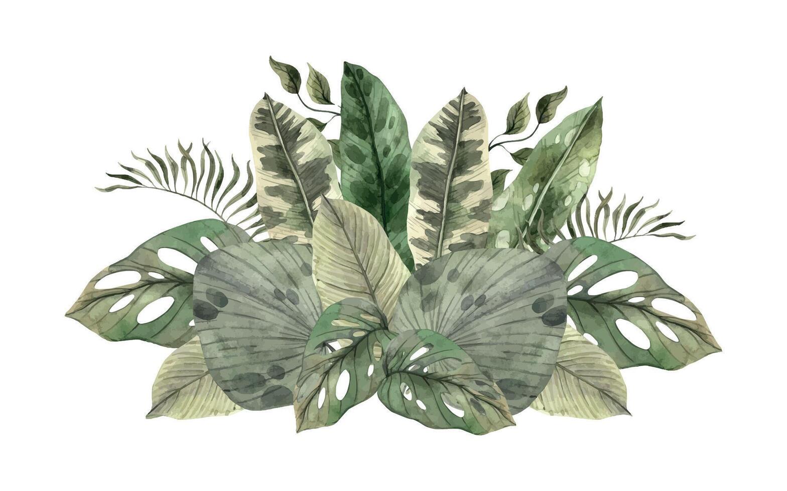 Composition of various tropical leaves, monstera, fan palm, calathea, banana leaves and others. Watercolor illustration, hand drawn on isolated background. Botanical exotic leaf for various designs vector