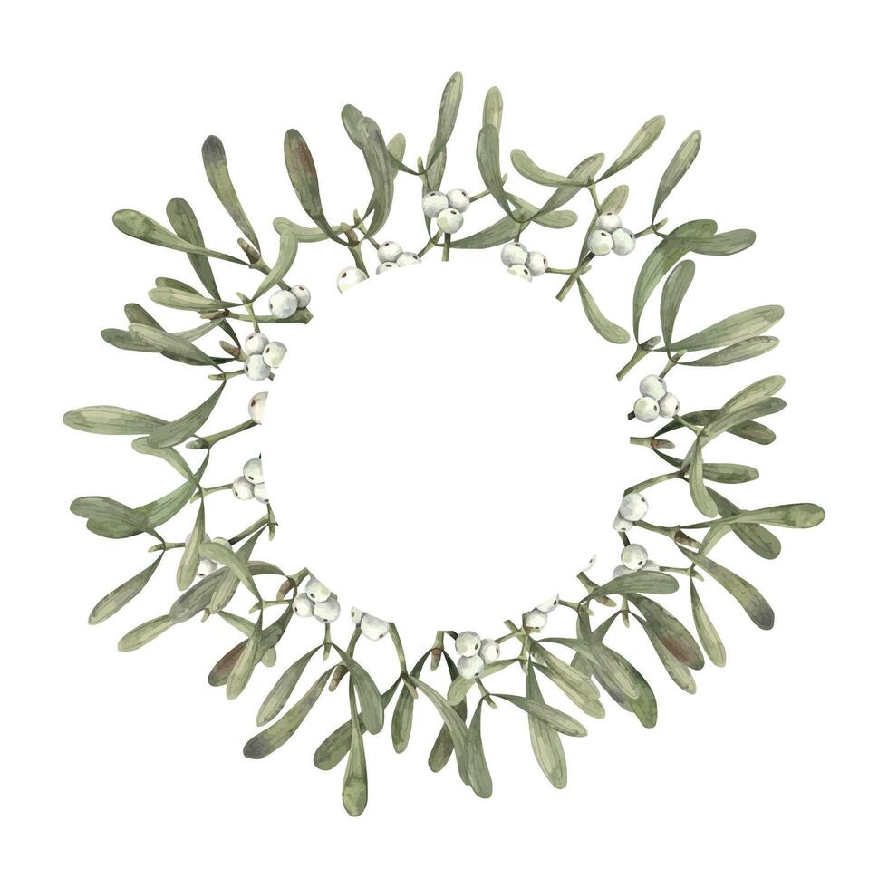 Mistletoe with white berries. Christmas watercolor winter botanical wreath on isolated background. Illustration for greeting cards, holiday banners, wrapping paper, decor, Christmas decorations. vector