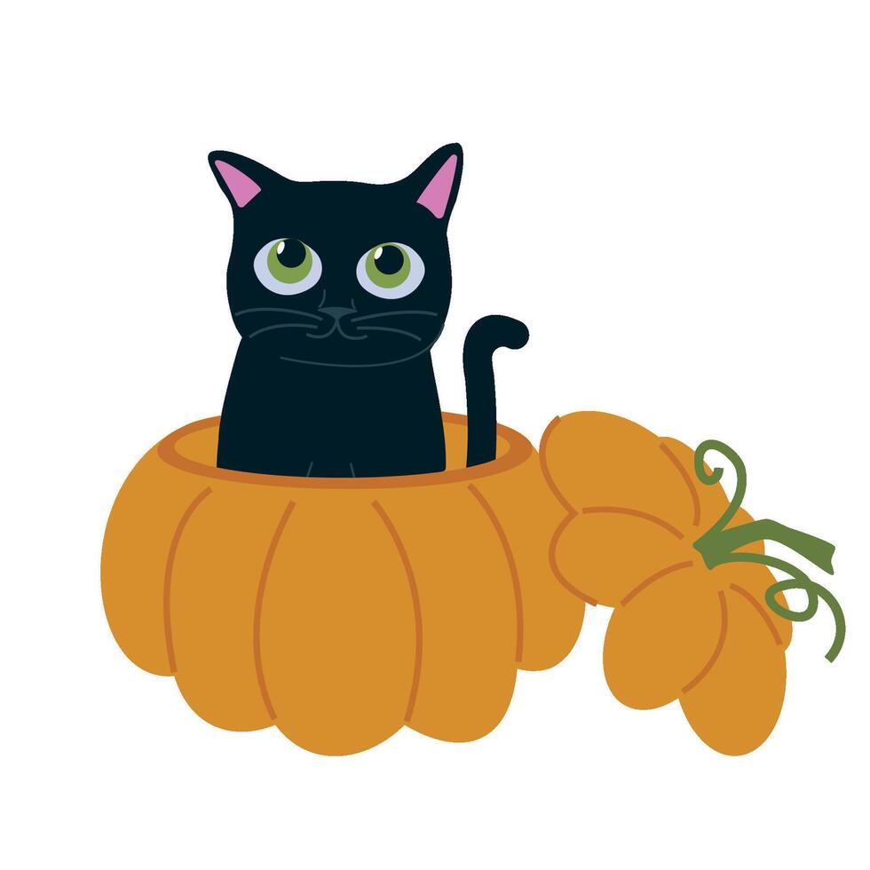 linda negro pequeño gato sentado en calabaza. adorable mano dibujado gatito, gracioso Víspera de Todos los Santos ilustración aislado en blanco antecedentes. vector