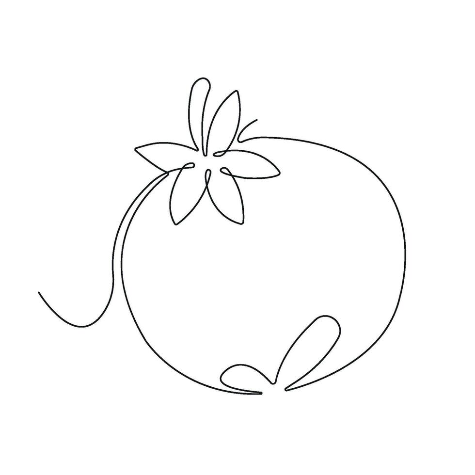 Tomato in continuous line art drawing style. Whole tomato minimalist black linear sketch isolated on white background. illustration vector