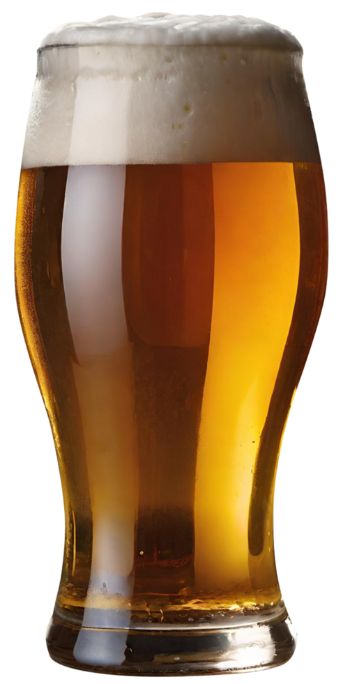 Glass of fresh beer png