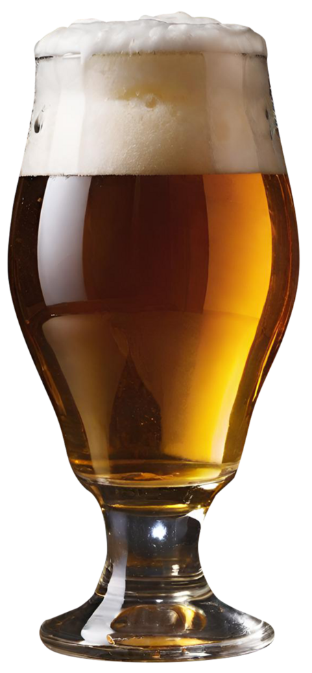 Glass of fresh beer png