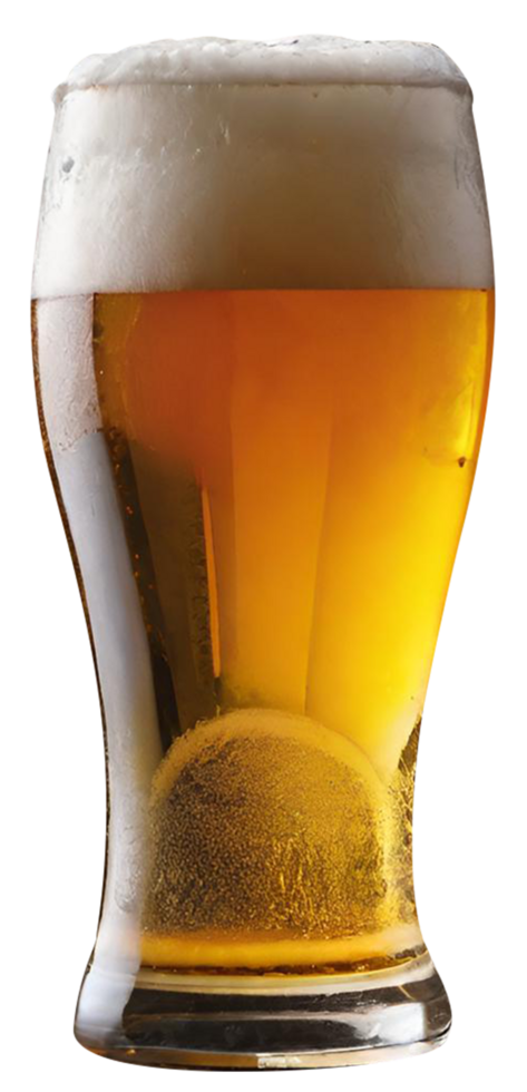 Glass of fresh beer png