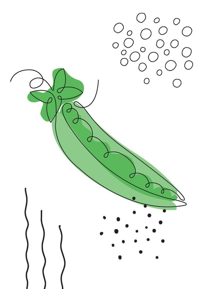 Continuous one line drawing pea pod. illustration. Black line art on white background with colorful spots and elements. Poster in minimalism concept vector