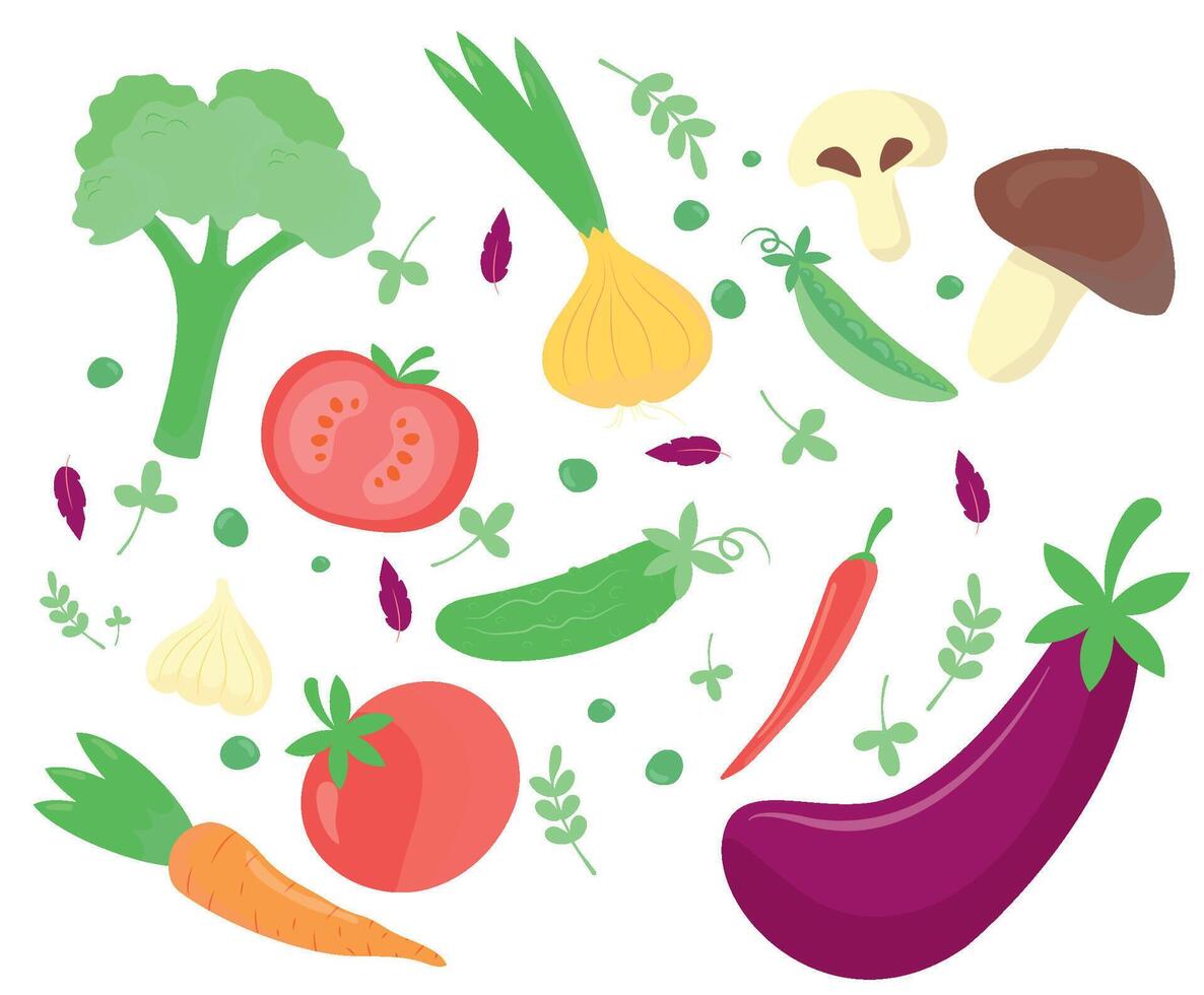 colección de Fresco vegetales. ilustración de Fresco alimento, diseño elementos aislado en blanco antecedentes. ilustración colocar. vector